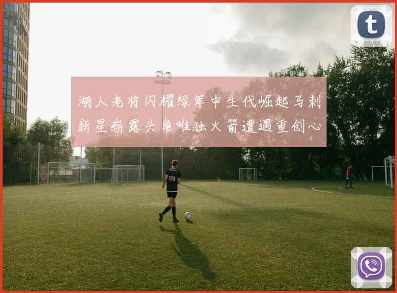 湖人老将闪耀绿军中生代崛起马刺新星崭露头角唯独火箭遭遇重创心碎不已